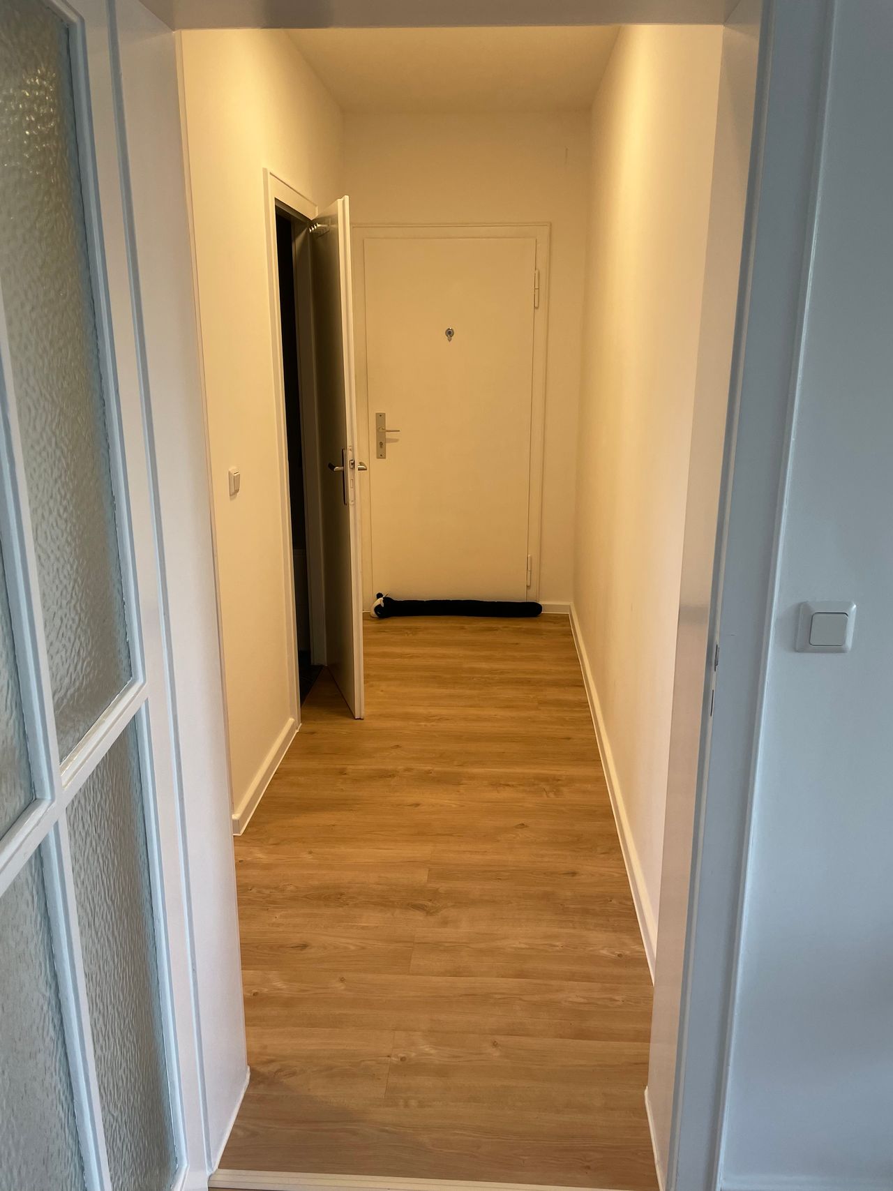 Renovated, super central, modern flat in Mitte, 2 rooms plus kitchen and balcony