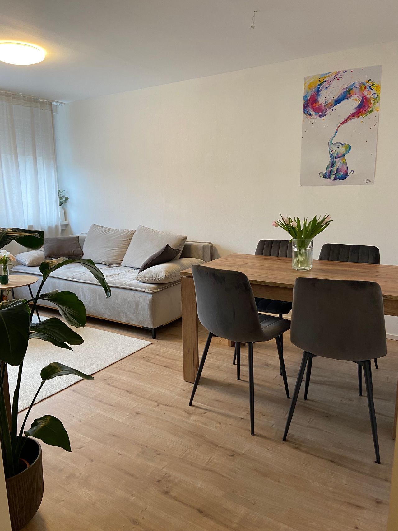 Bezaubernde, kompakte 2-Zimmer-Wohnung im Herzen der Mainzer Neustadt