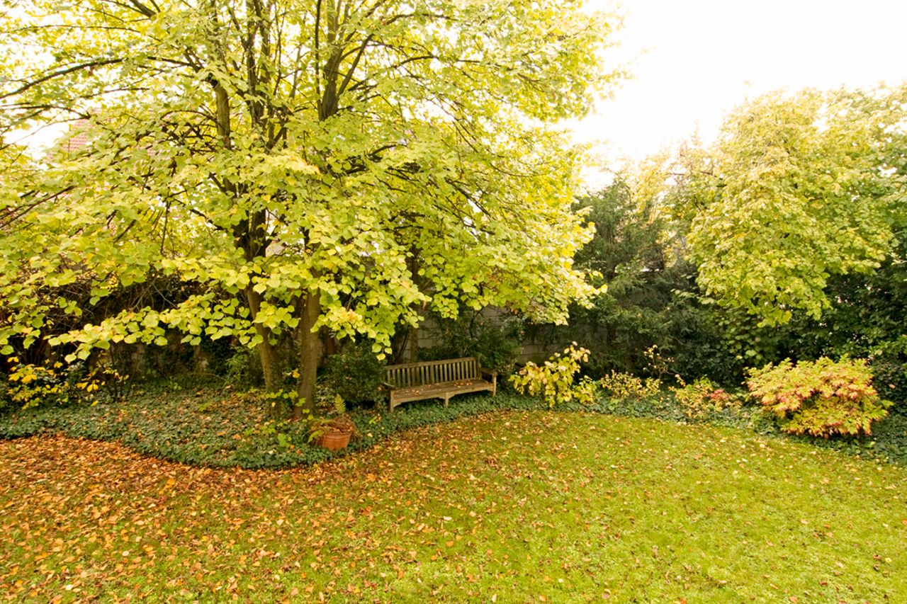 Idyllic & lovely garden view Apartment