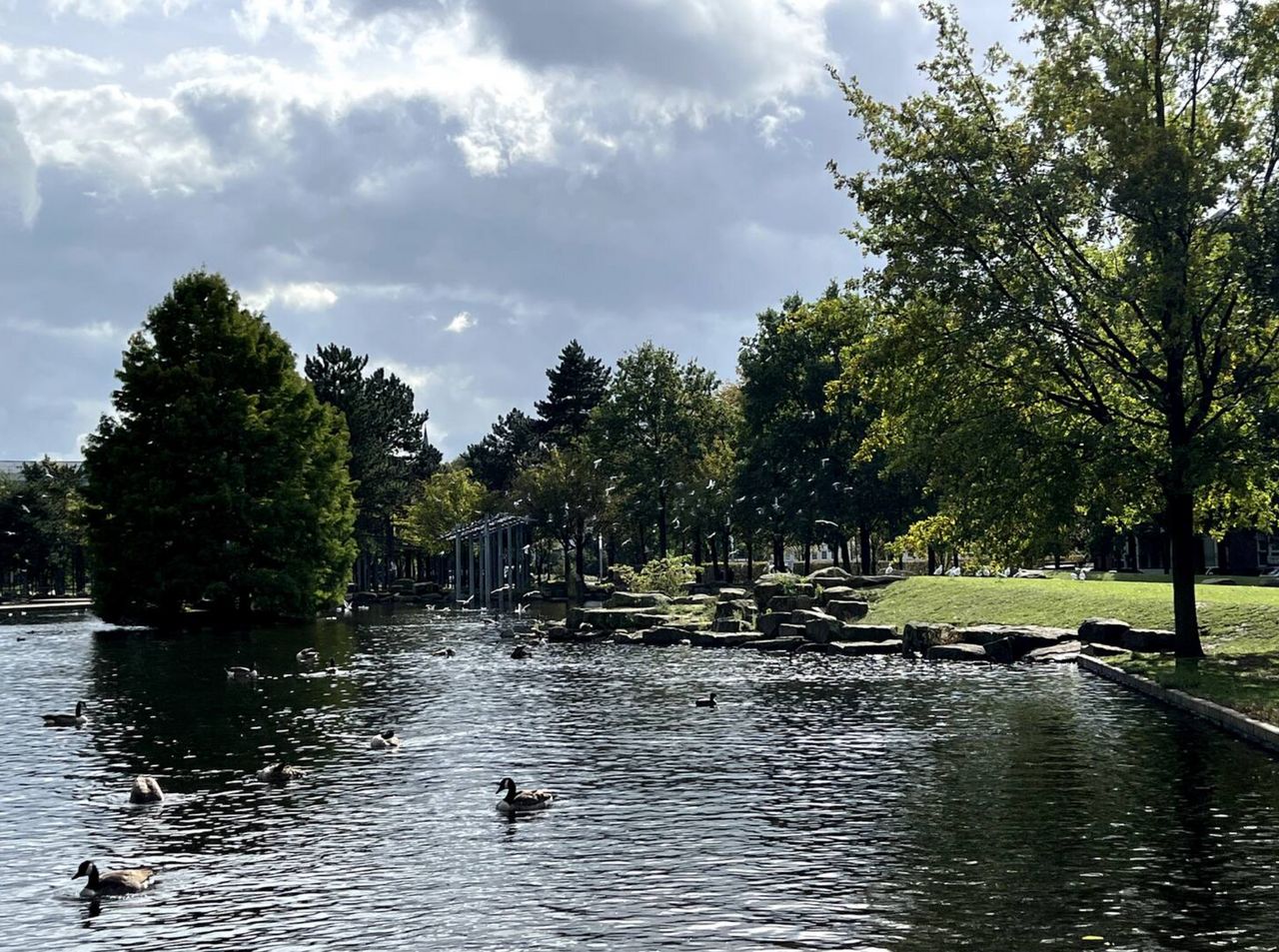 Best green views in Düsseldorf