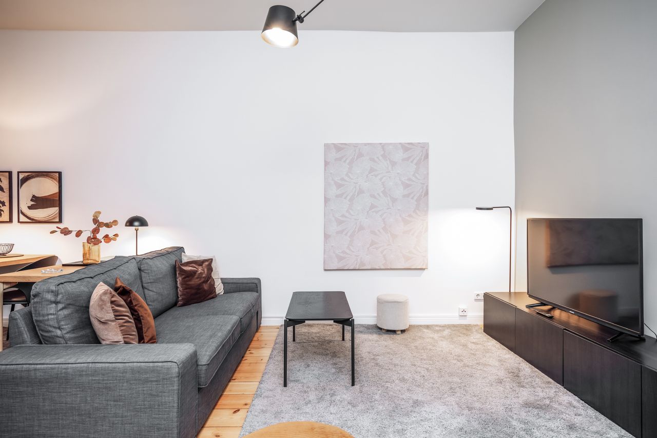 Cozy Modern Apartment