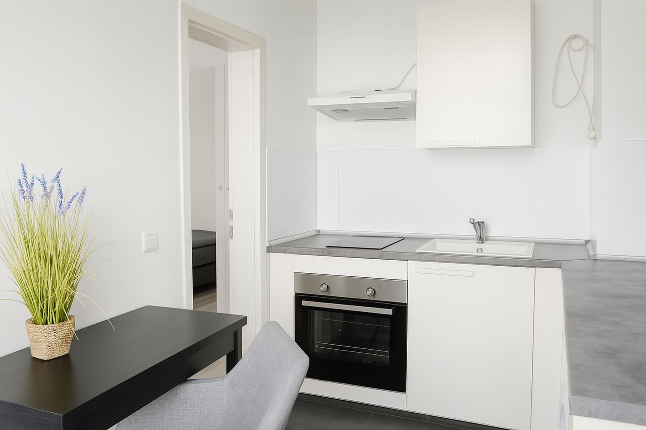 1-ROOM APARTMENT IN CENTRAL BERLIN MITTE