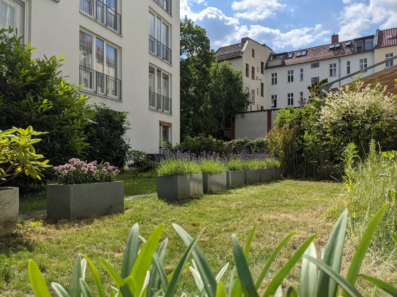 Beautiful & nice flat with a Garden in Rummelsburg (Berlin)