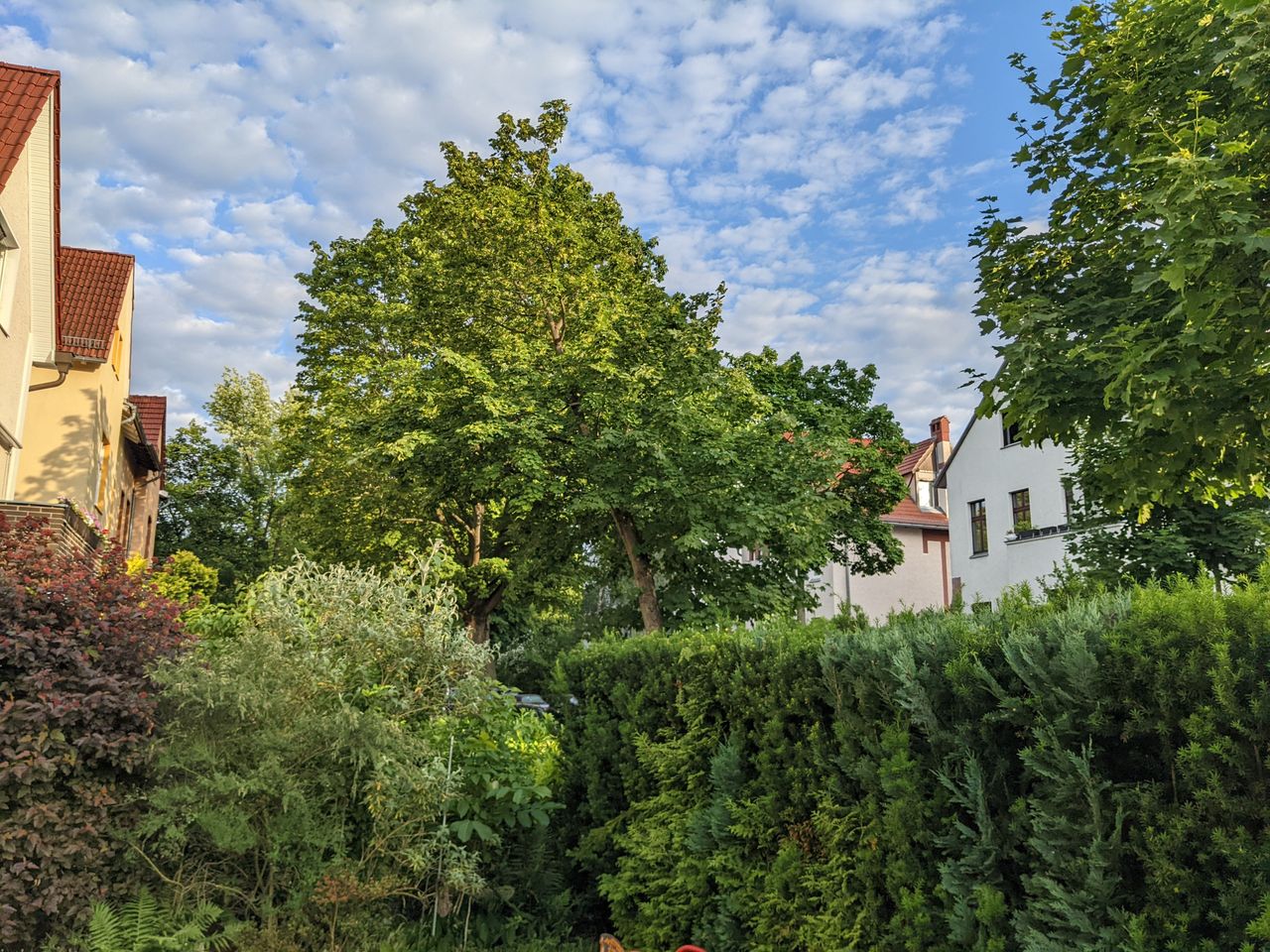 Spacious, bright home in Lichterfelde