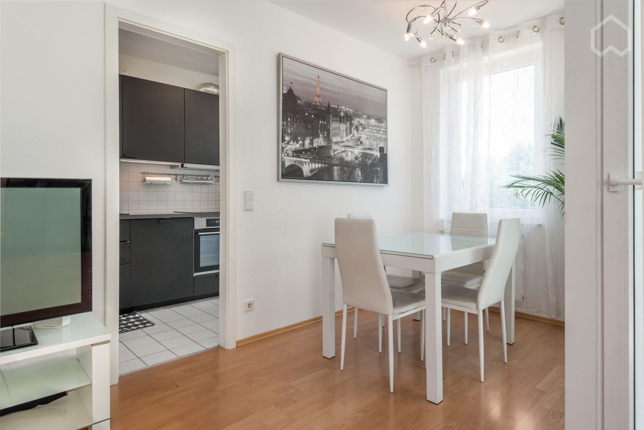 Perfect for expats! Fully accessorized three-rooms apartment, Frankfurt city, riverside