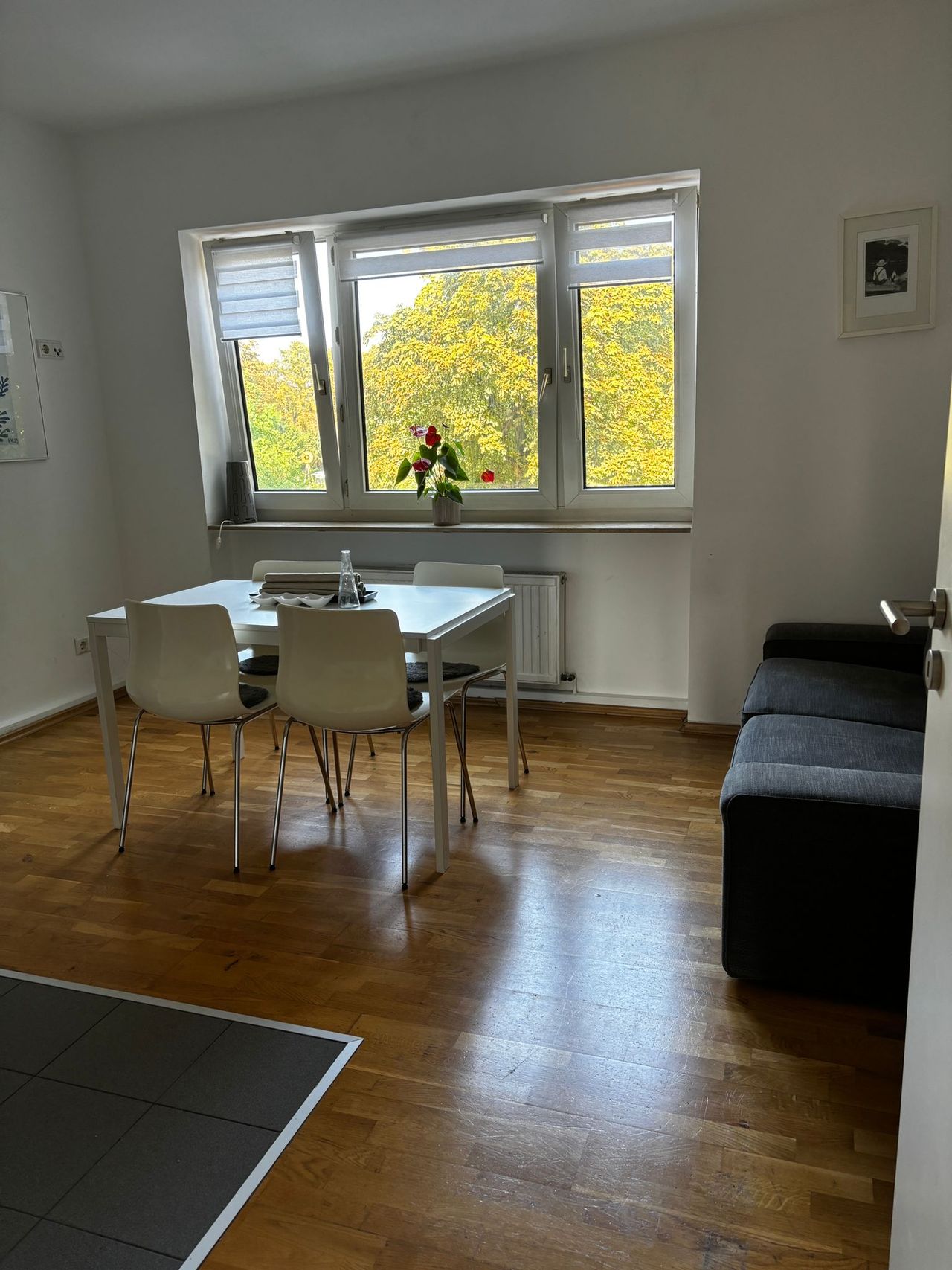 Beautiful furnished 3 room flat in Derendorf