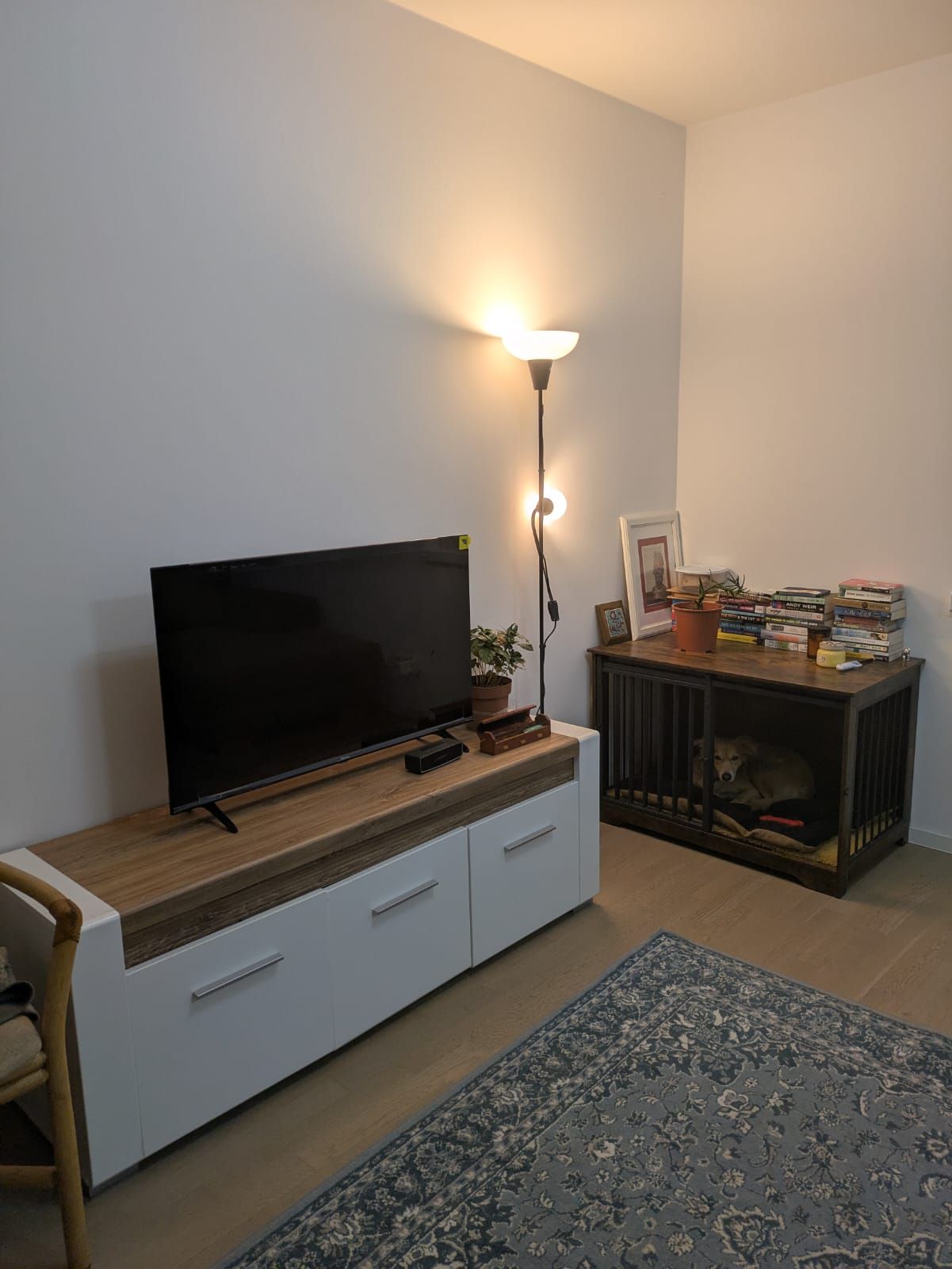 Tastefully furnished 2-room ground floor apartment with modern interior in Berlin Heiners