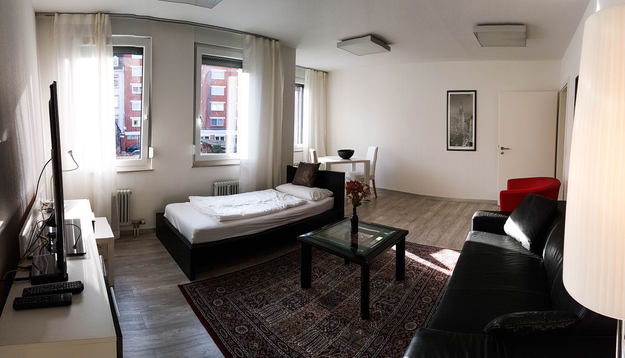 Great, new apartment (Heidelberg)