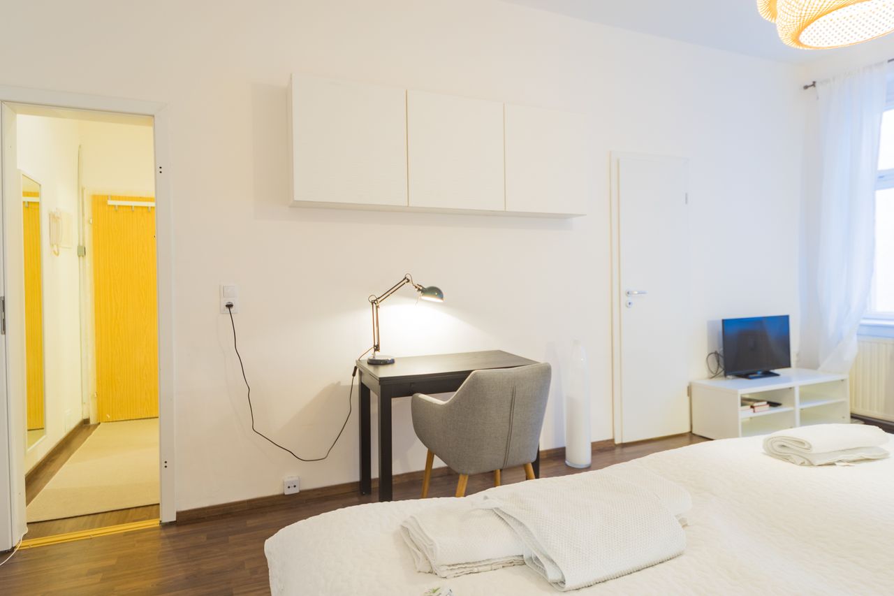1-ROOM APARTMENT IN CENTRAL BERLIN MITTE