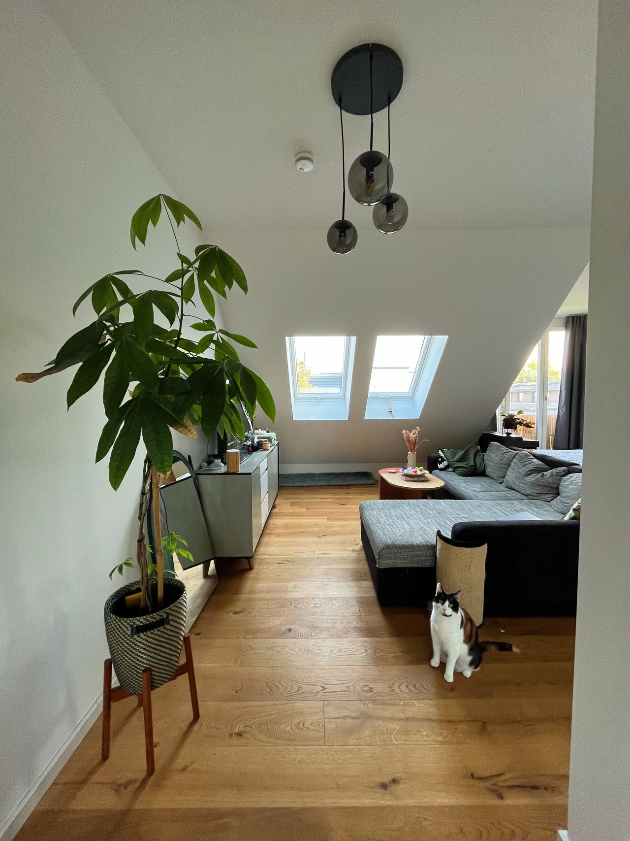 Spacious open plan apartment in Lichtenberg