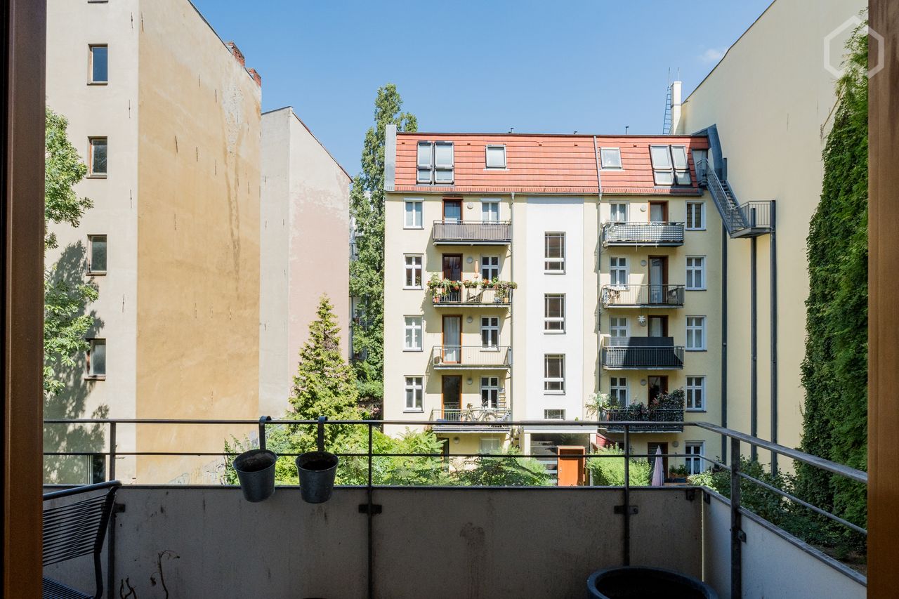 Beautiful, bright design apartment in nicest area in Mitte