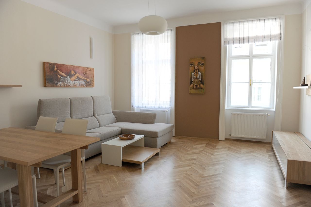 Beautiful, modern apartment near city center (Vienna)