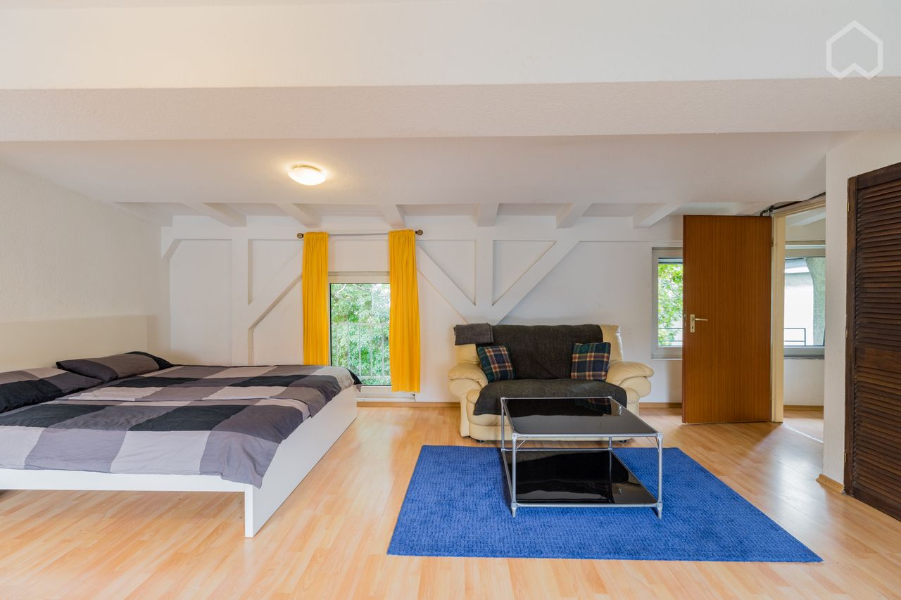 Bright Sunlit Quite Renovated Studio Apartment