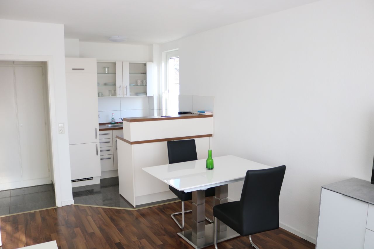 Great and amazing one bedroom apartment in stuttgart west
