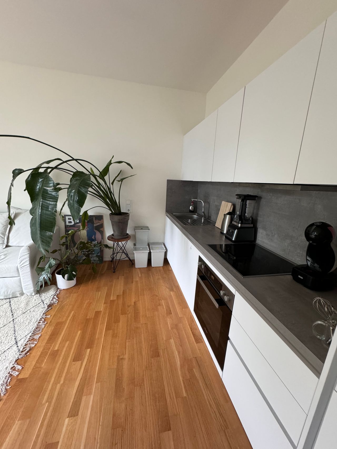 Furnished Sunny Flat in Mitte available from July 5th