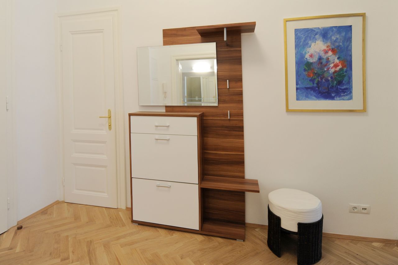 Beautiful, modern apartment near city center (Vienna)