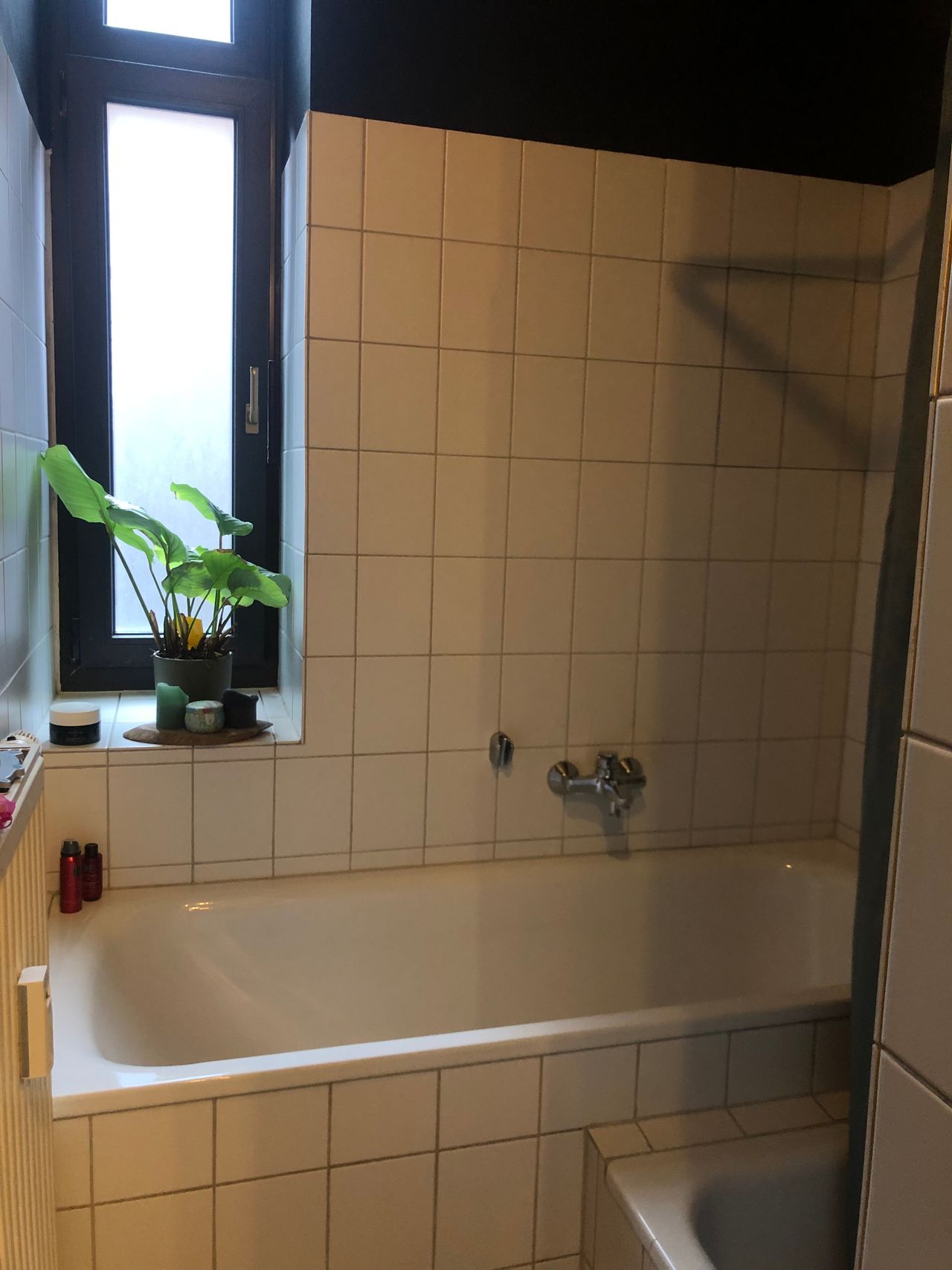 in Köln