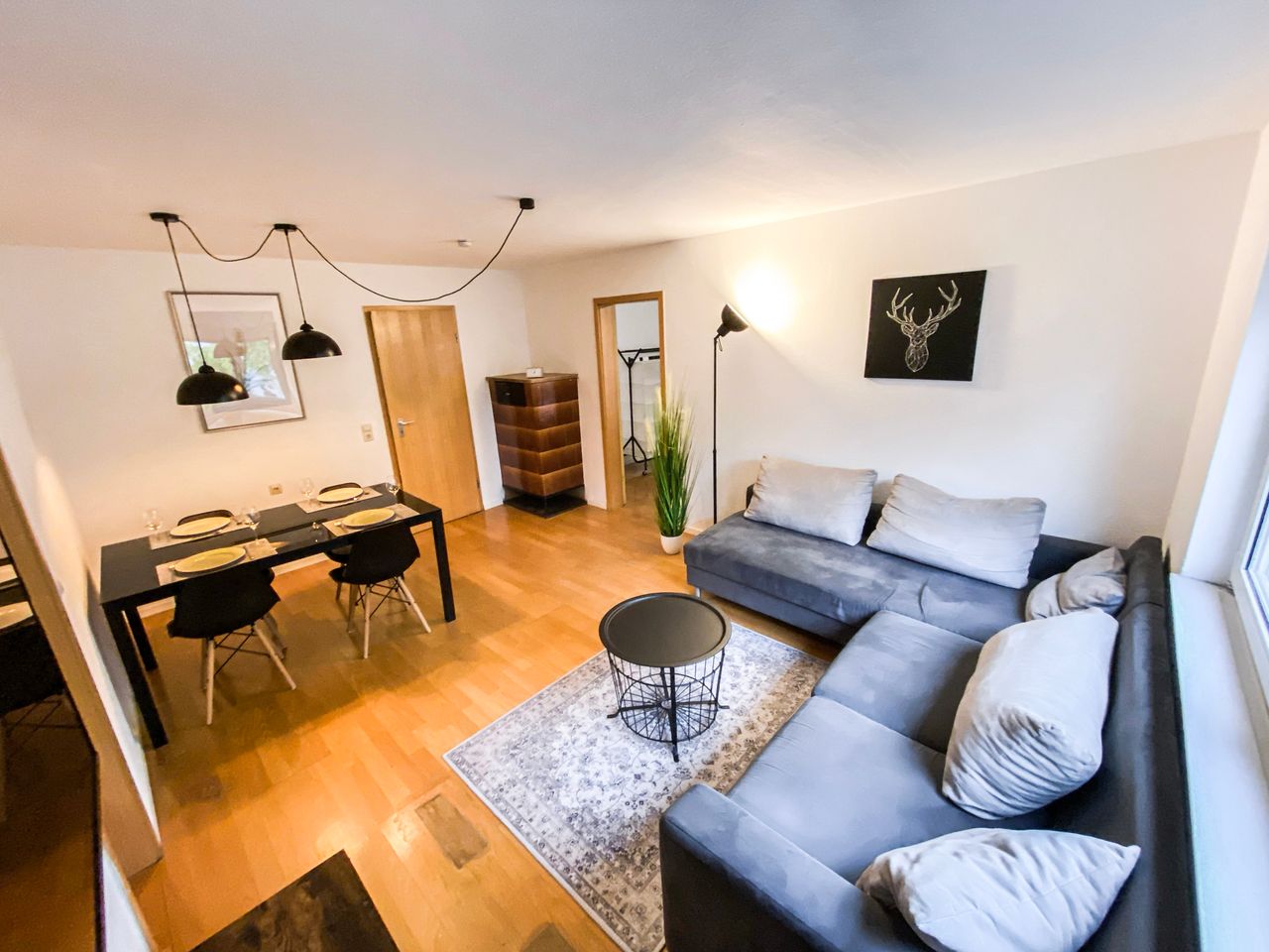 Gorgeous & spacious apartment