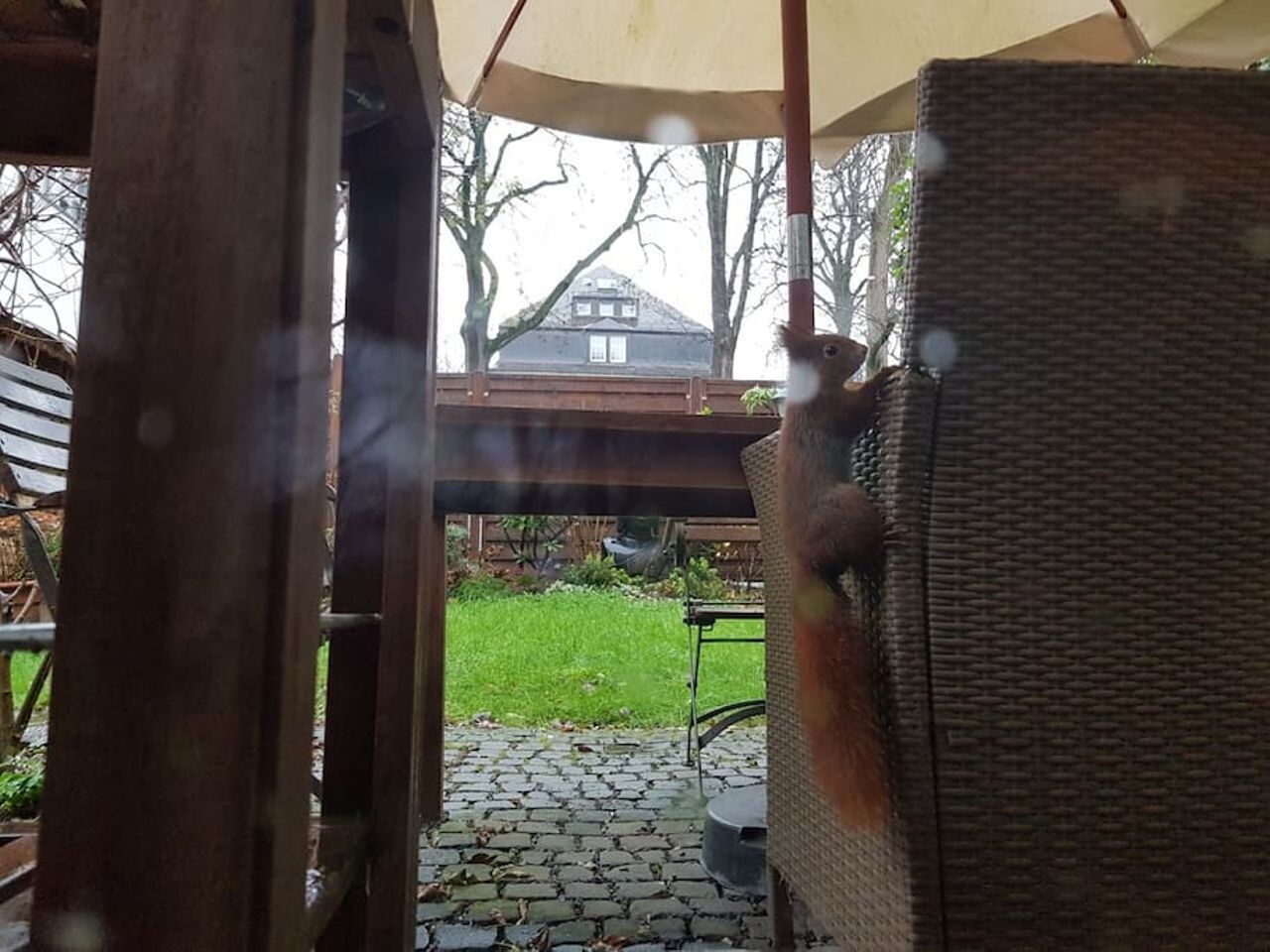 Small house with private garden - 5 min walk downtown