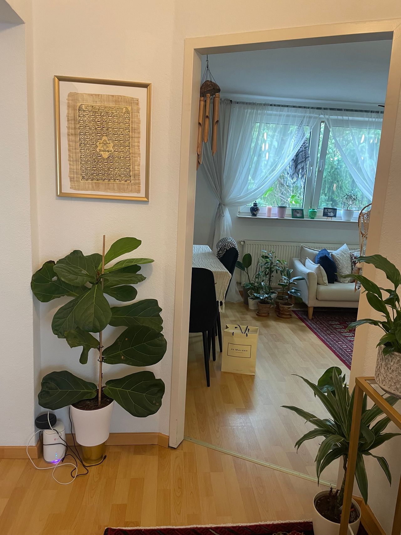 Bright home in a calm but center of Frankfurt am Main (July & August)