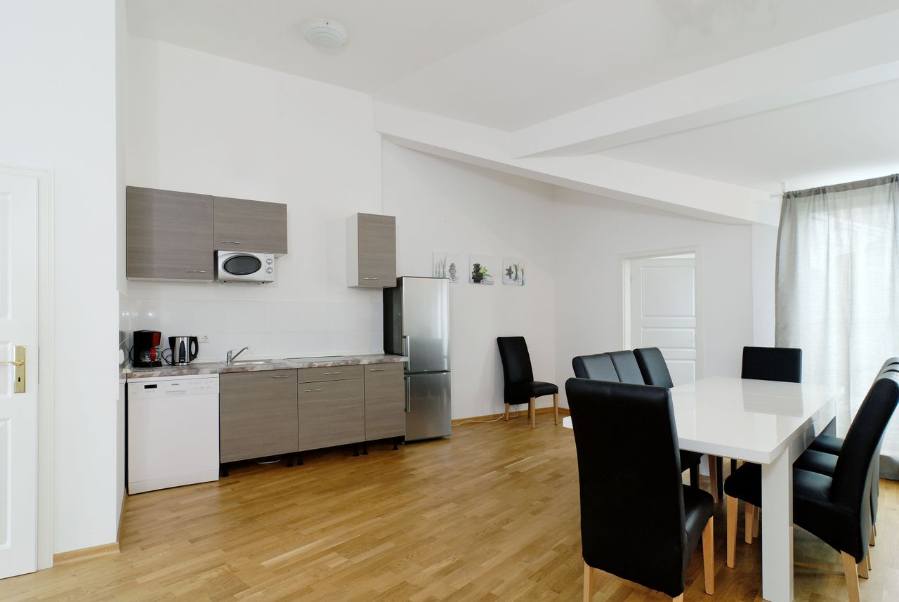 Huge Penthouse with sunny terrace (Mitte)