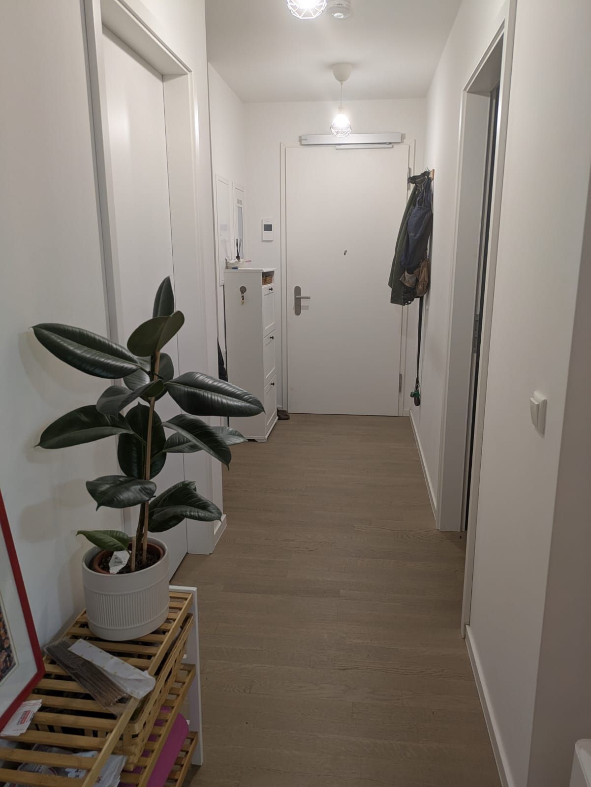 Tastefully furnished 2-room ground floor apartment with modern interior in Berlin Heiners