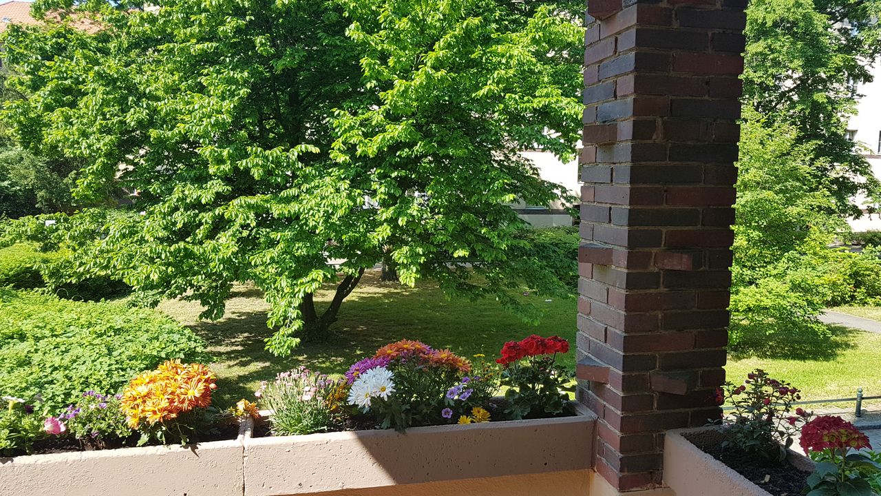 Modern & neat flat close to park