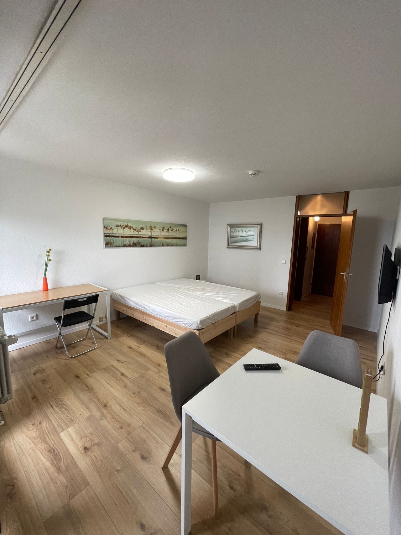 Studio appartment in Nürnberg with good Remote work posibility