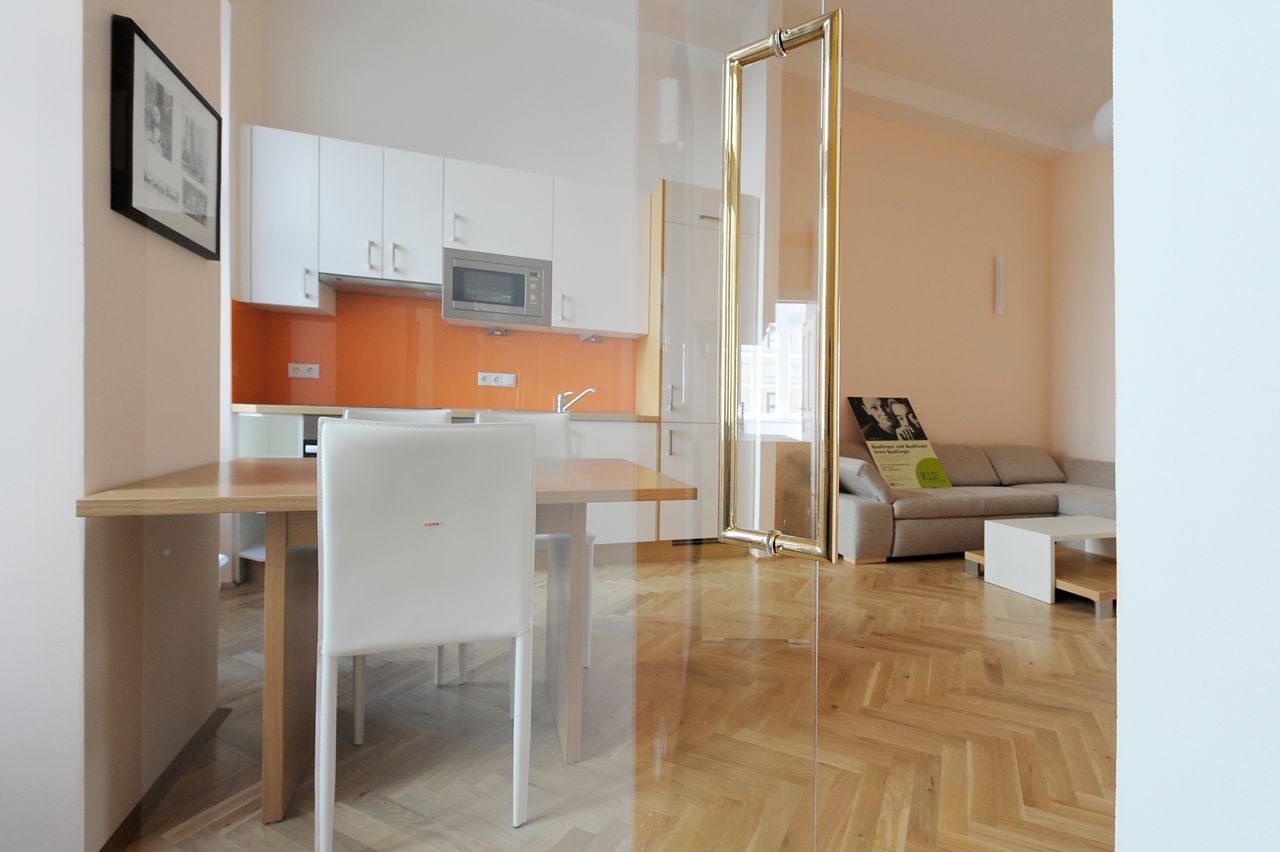 Beautiful, modern apartment near city center (Vienna)