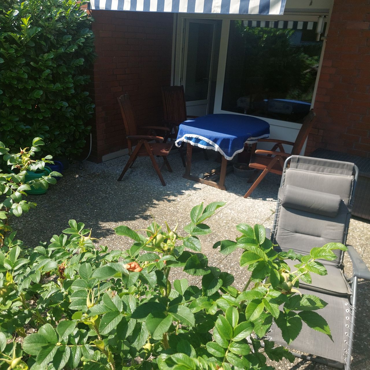 Neat and lovely studio in Nikolassee