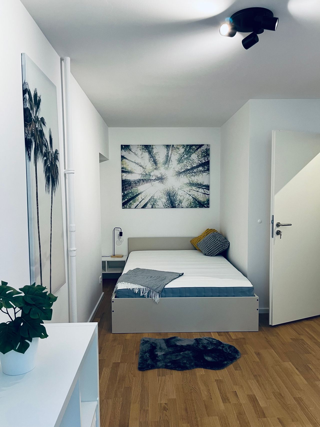 Lovely large Furnished Room in a Cozy Flatshare in Steglitz