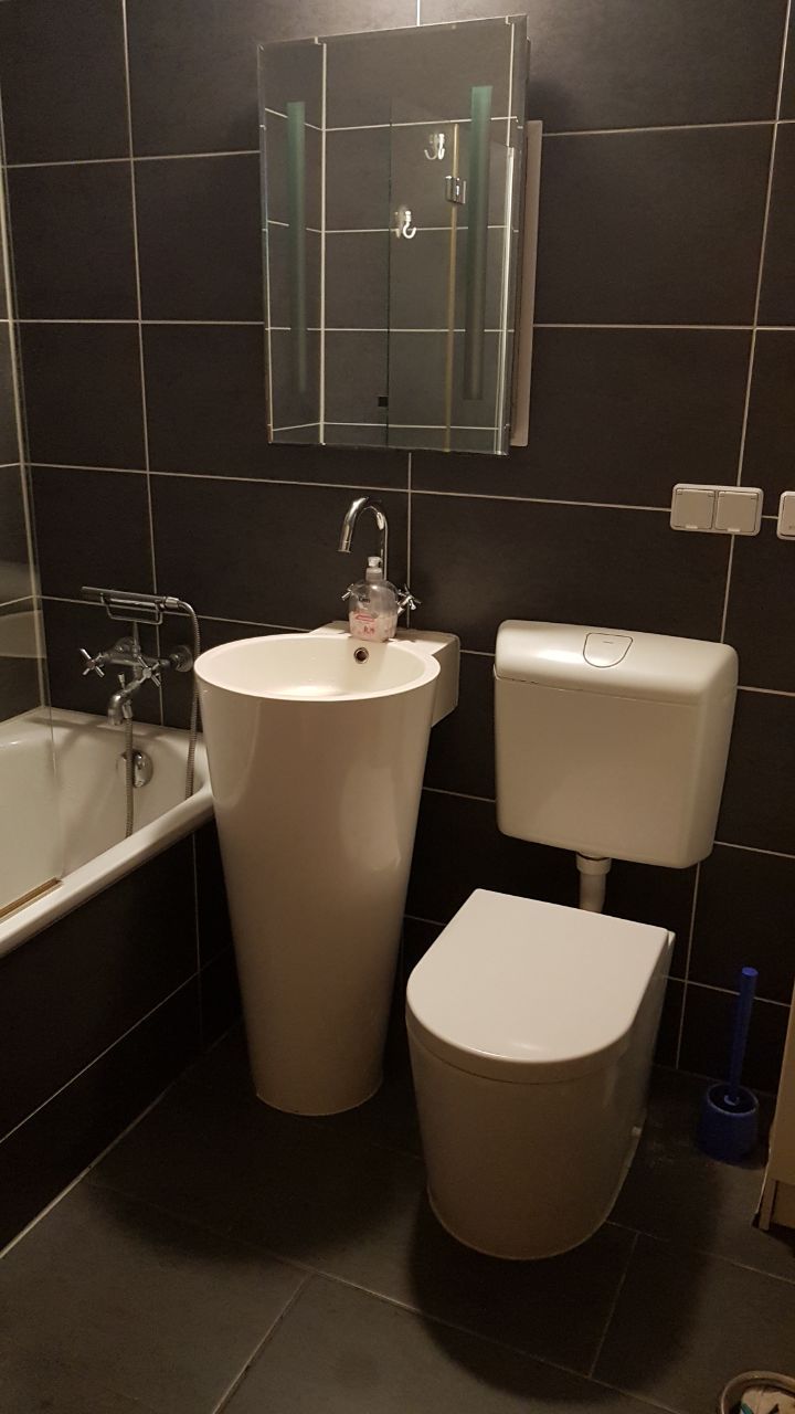 Quiet and calm furnished apartment available in the neighbourhood of Dresden