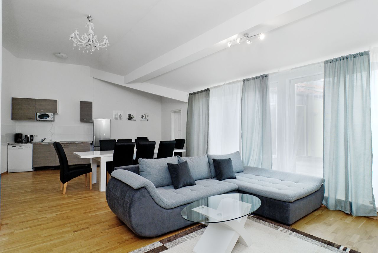 Huge Penthouse with sunny terrace (Mitte)