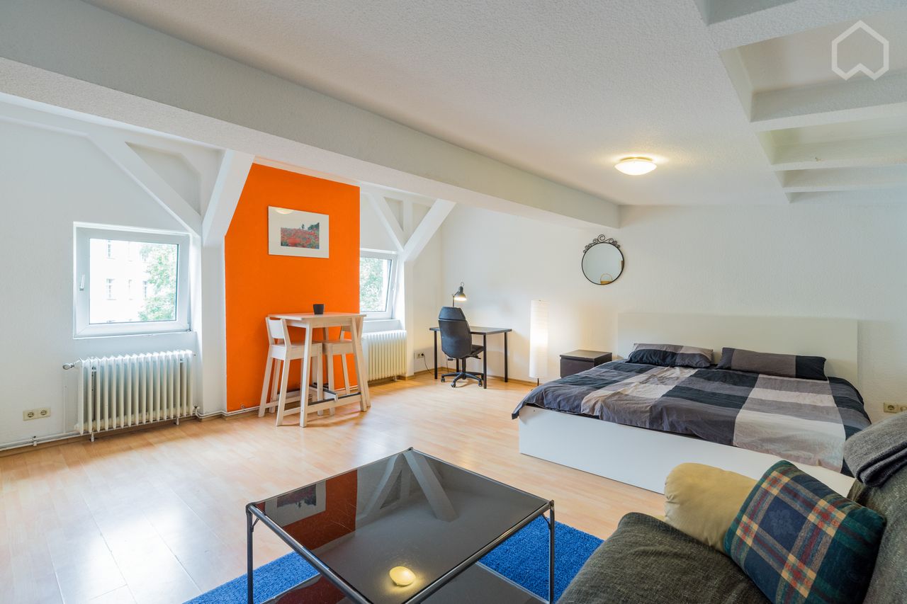 Bright Sunlit Quite Renovated Studio Apartment