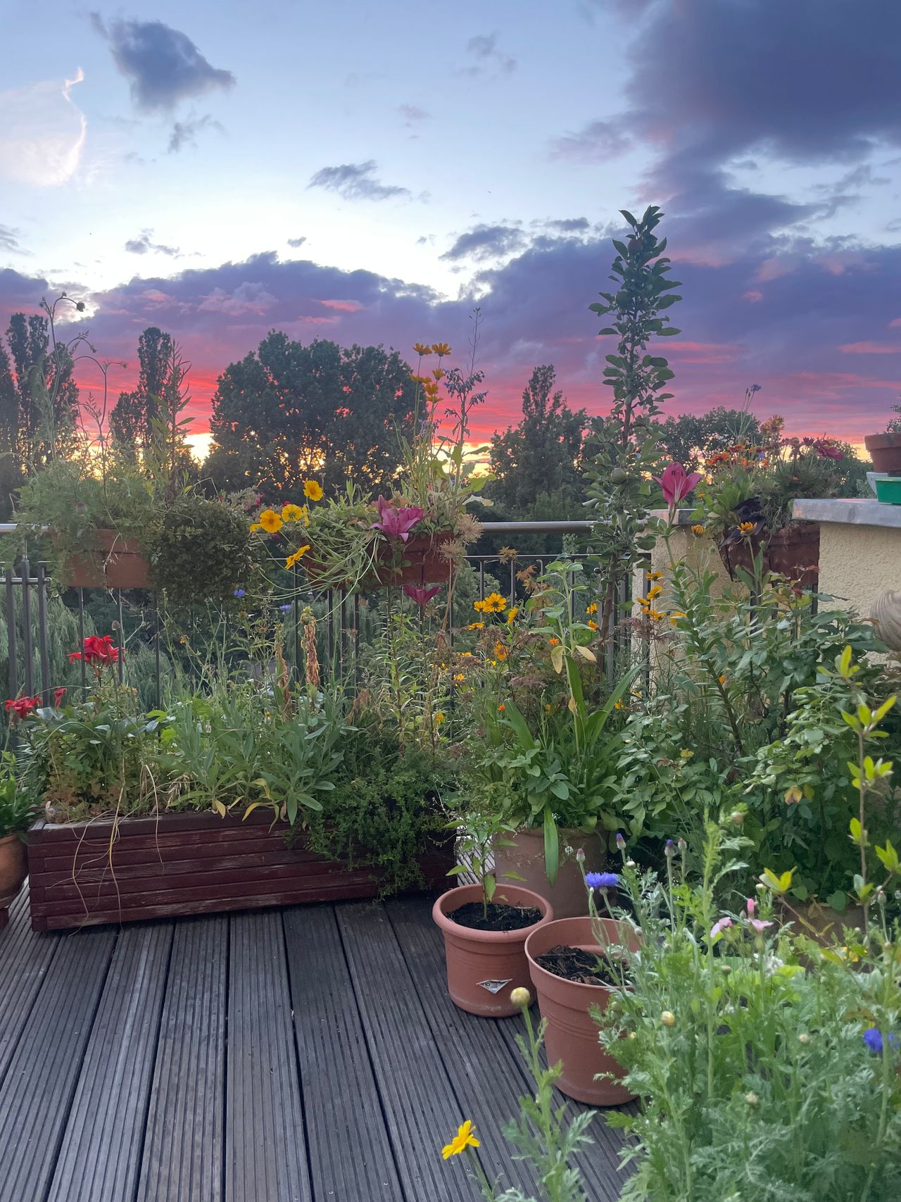 Awesome loft with fantastic view at the Kanal