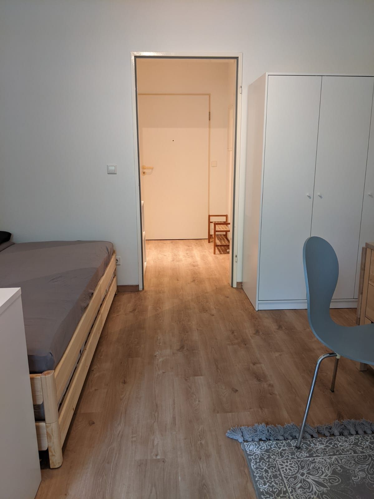 Spacious & new suite (Dresden)