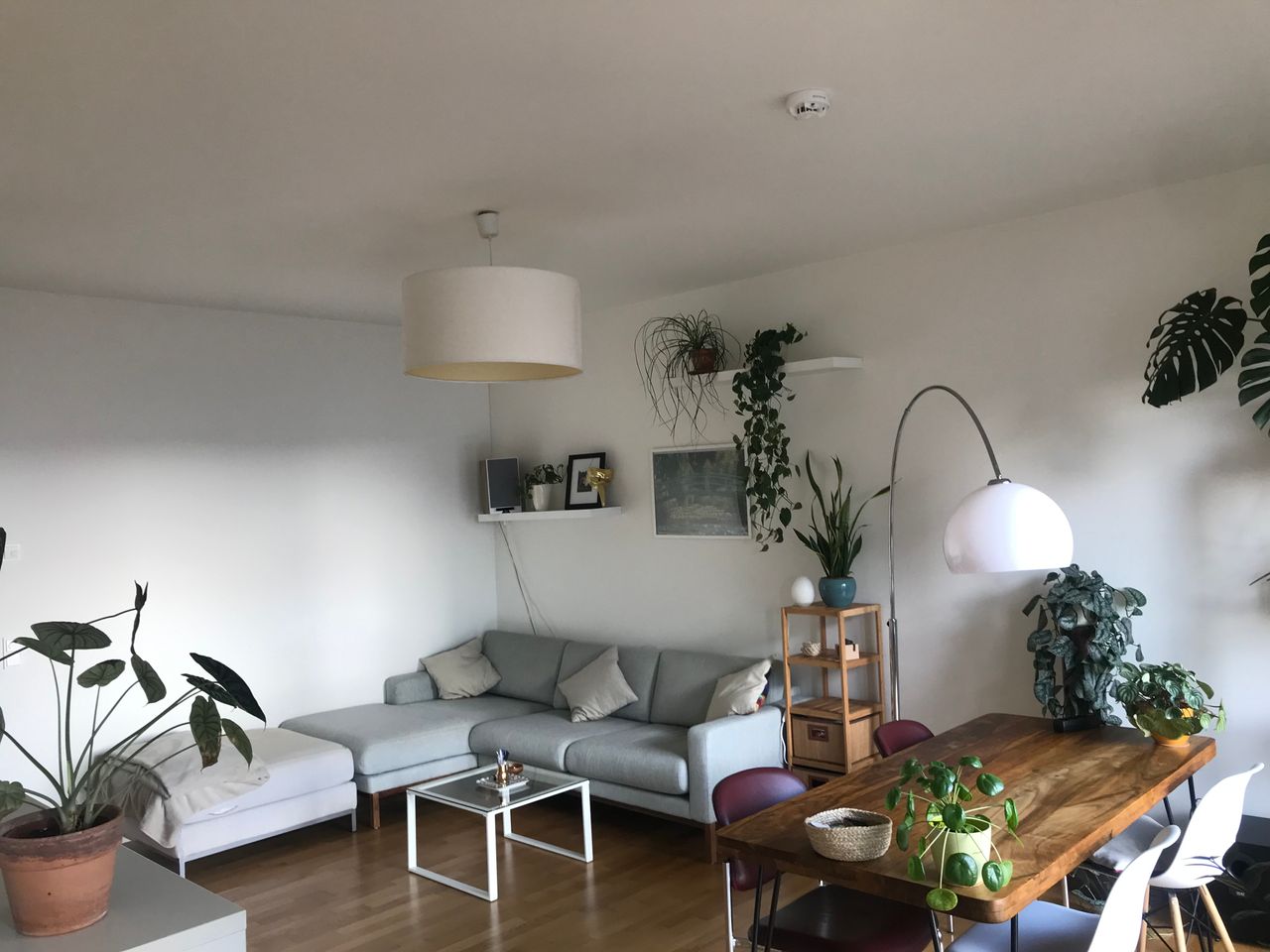 Sunny and peaceful 65sqm top-floor apartment in Mitte