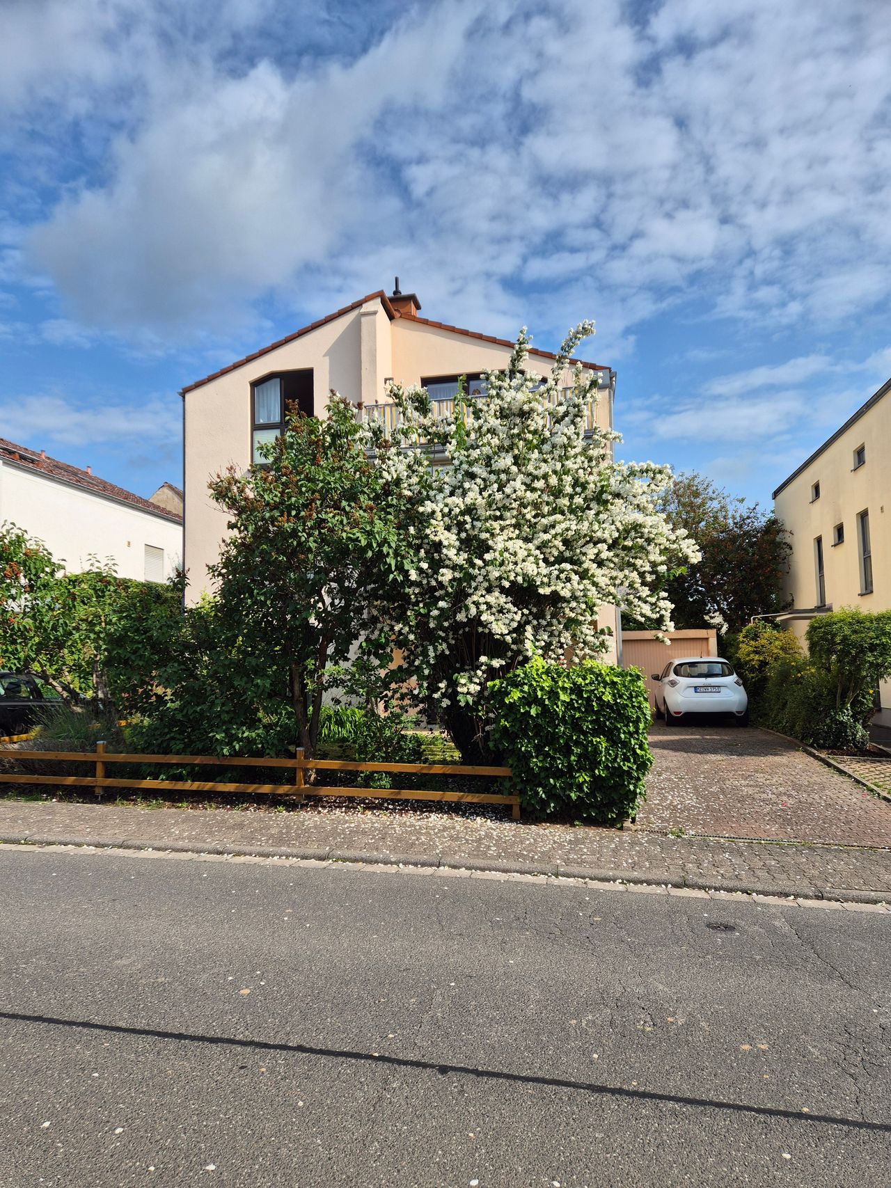 New suite in Mainz