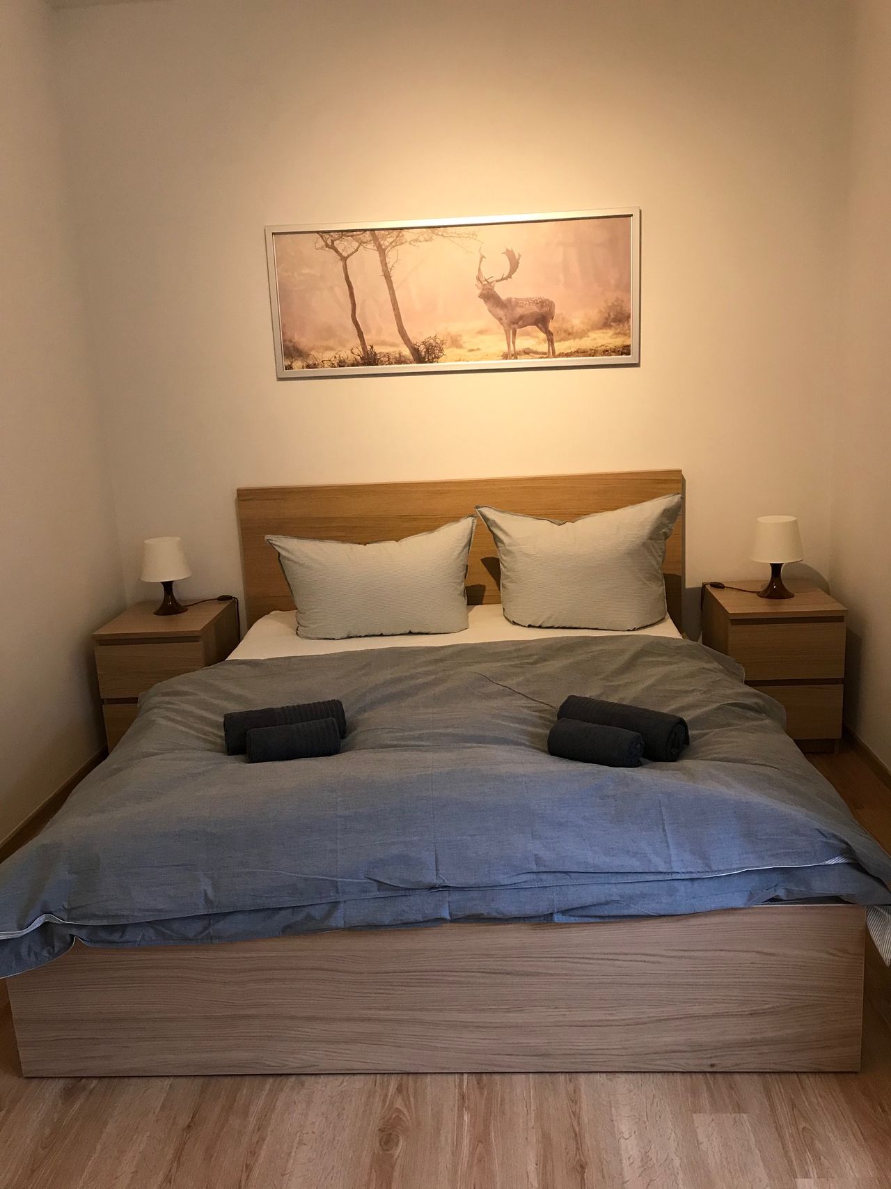 Scandinavian furnished 2.5 room apartment in a prime location in Schöneberg