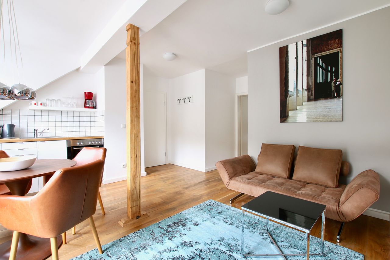elegantly and modernly furbished apartment at Friesenplatz