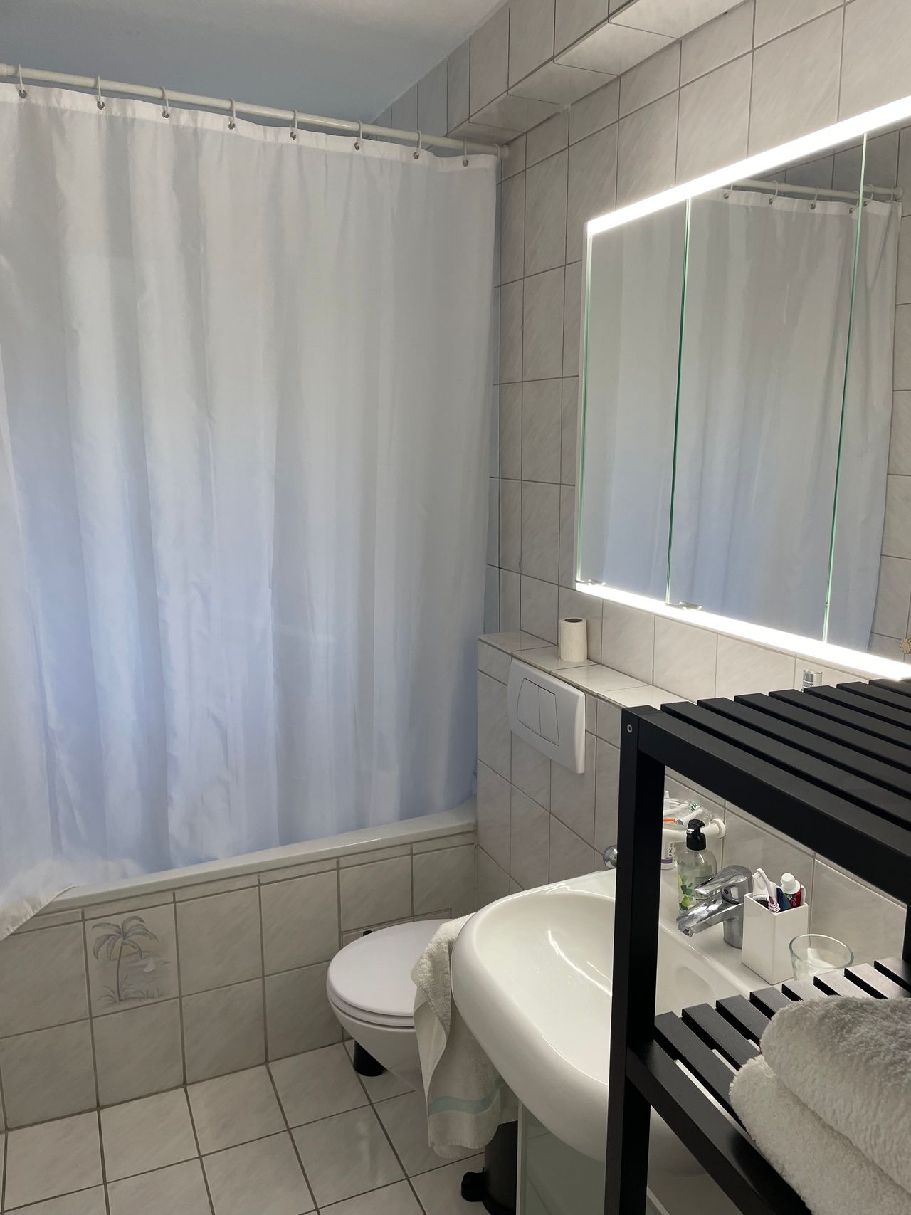 Bright, furnished 2.5-room apartment with balcony, garden & garage