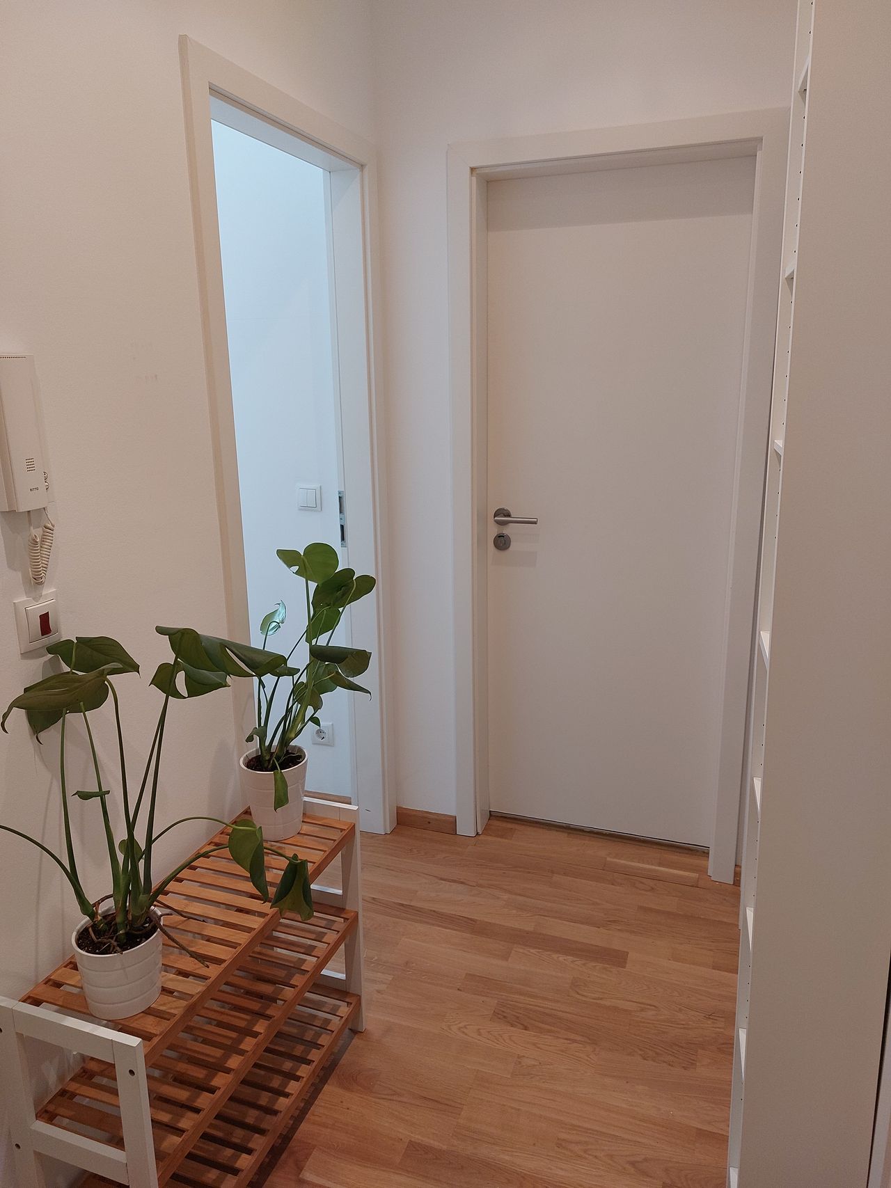 Pretty & cozy 1.5 room apartment,   Neuhausen- center of Munich