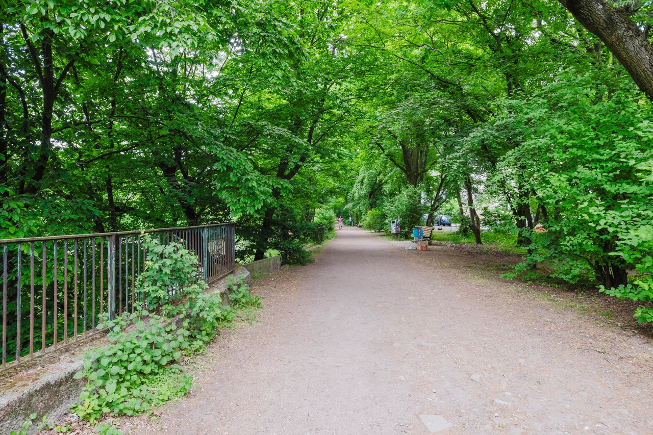 Open Kreuzberg 2BR, Fully Furnished & Equipped