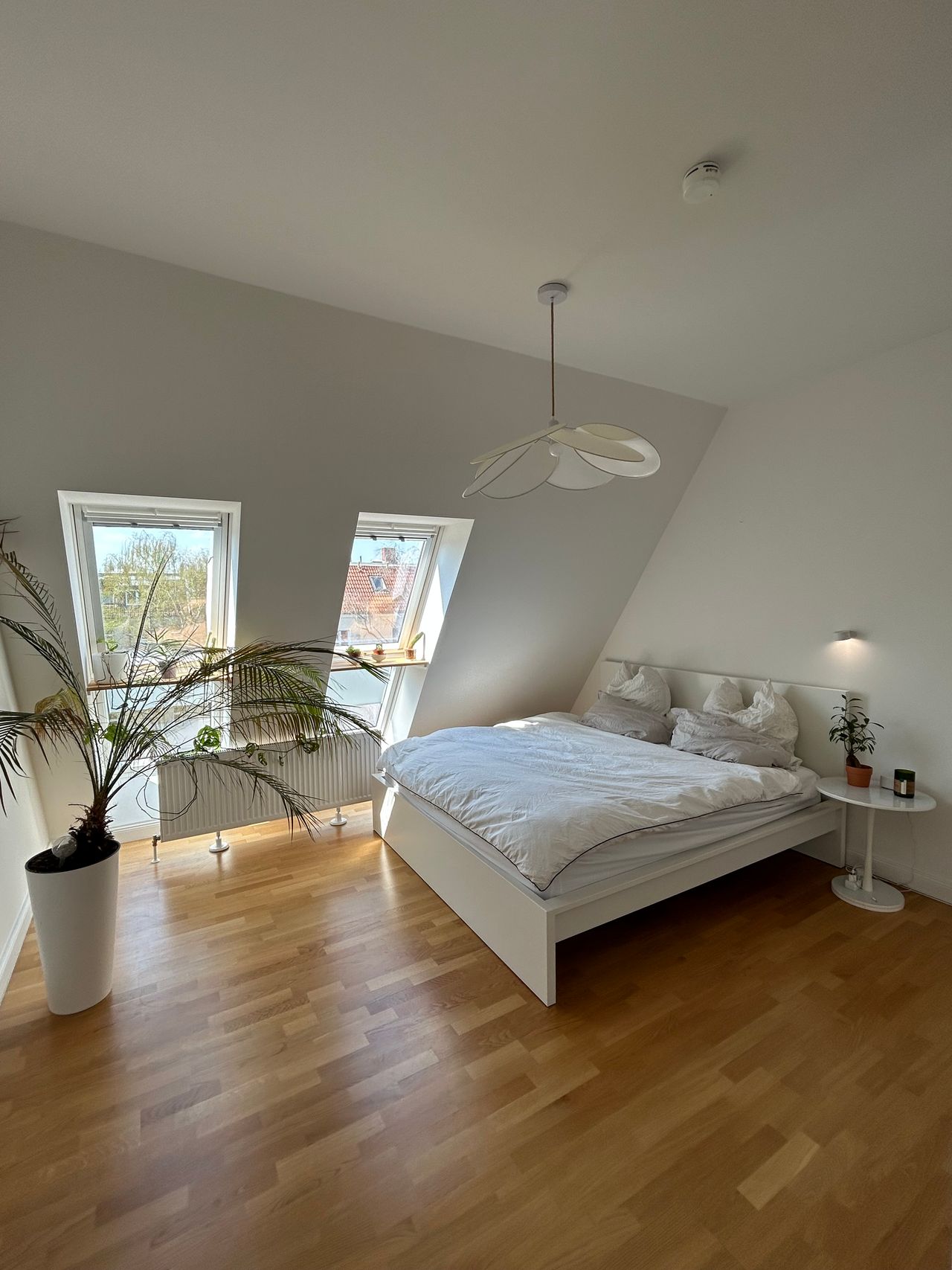 3 room Rooftop Apartment in Lichtenberg