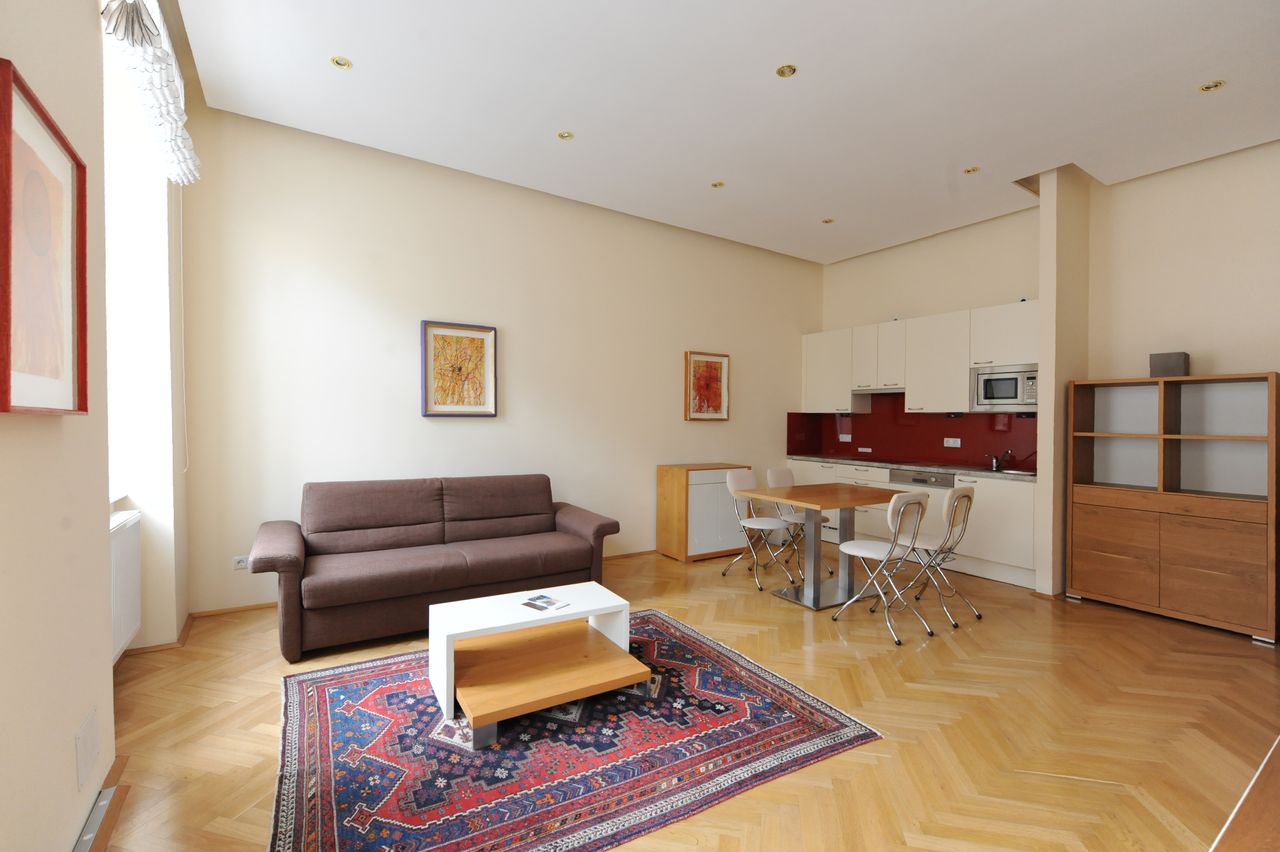 Beautiful, modern apartment near city center (Vienna)