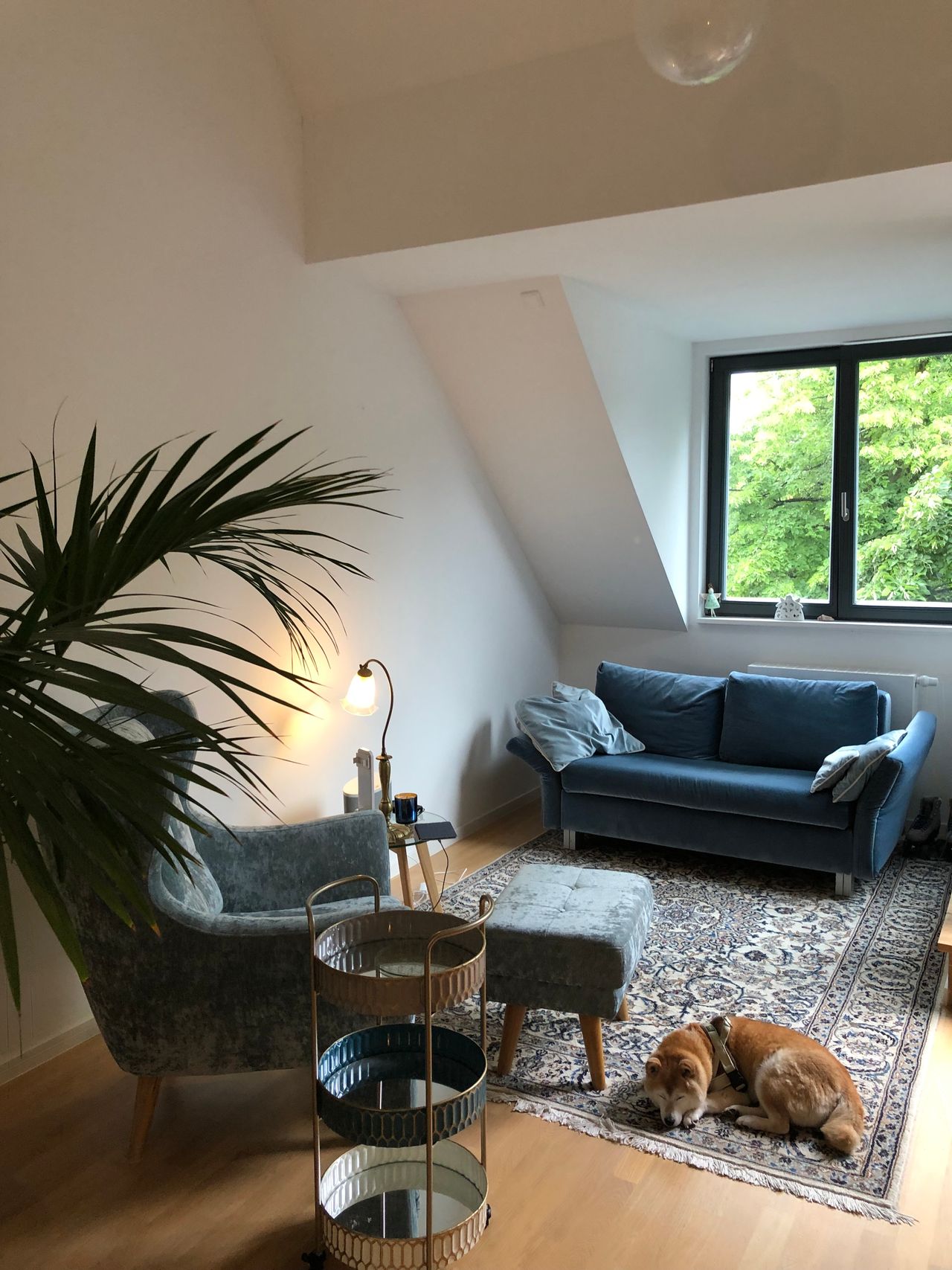 Fashionable, fantastic home located in Zehlendorf