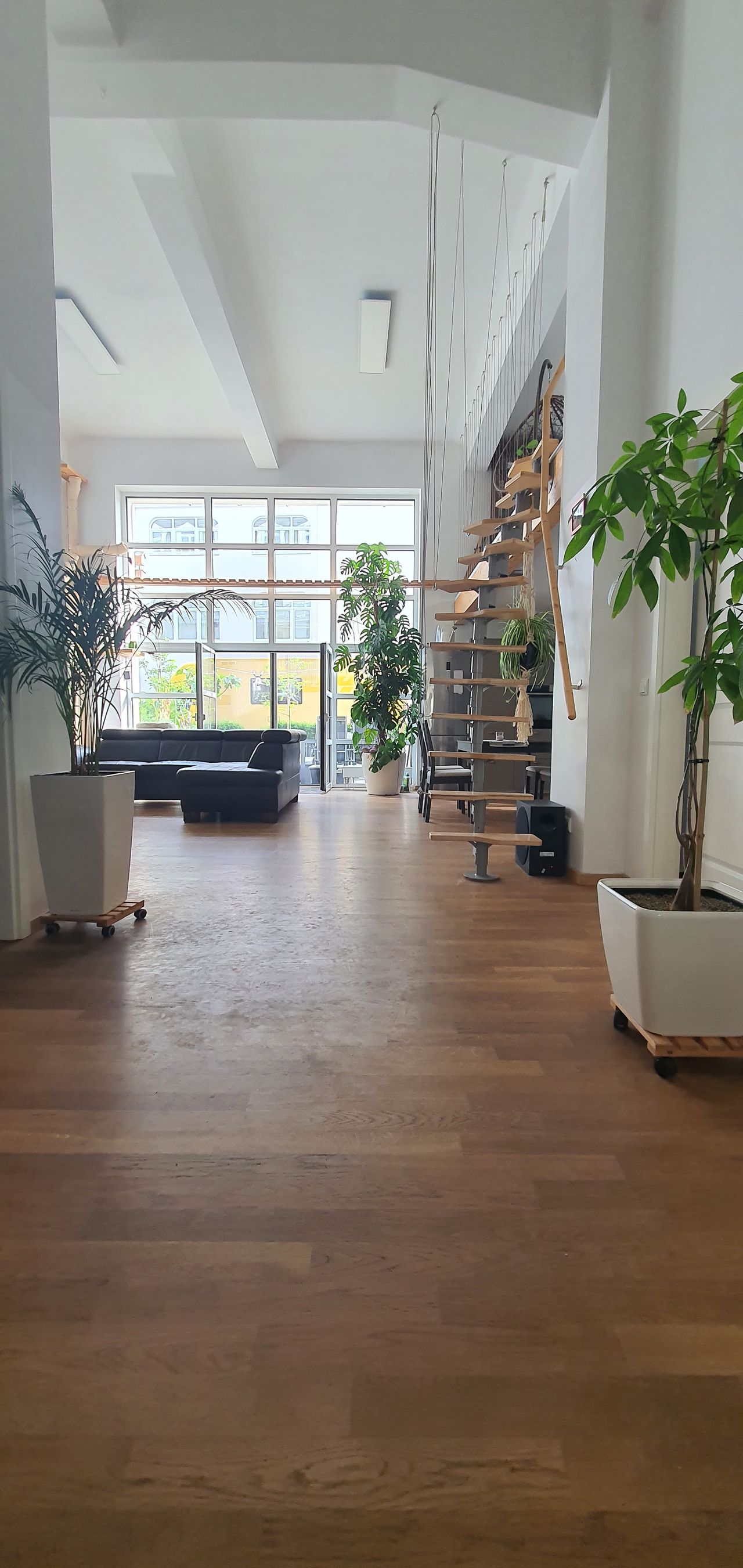 Loft apartment in Dresden - pet-friendly, terrace, parking