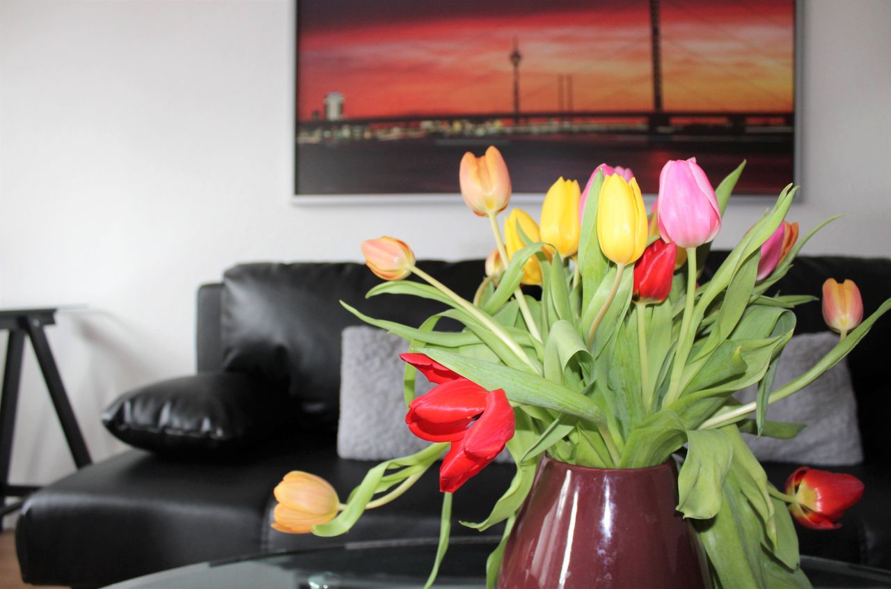 Awesome and gorgeous flat located in Düsseldorf
