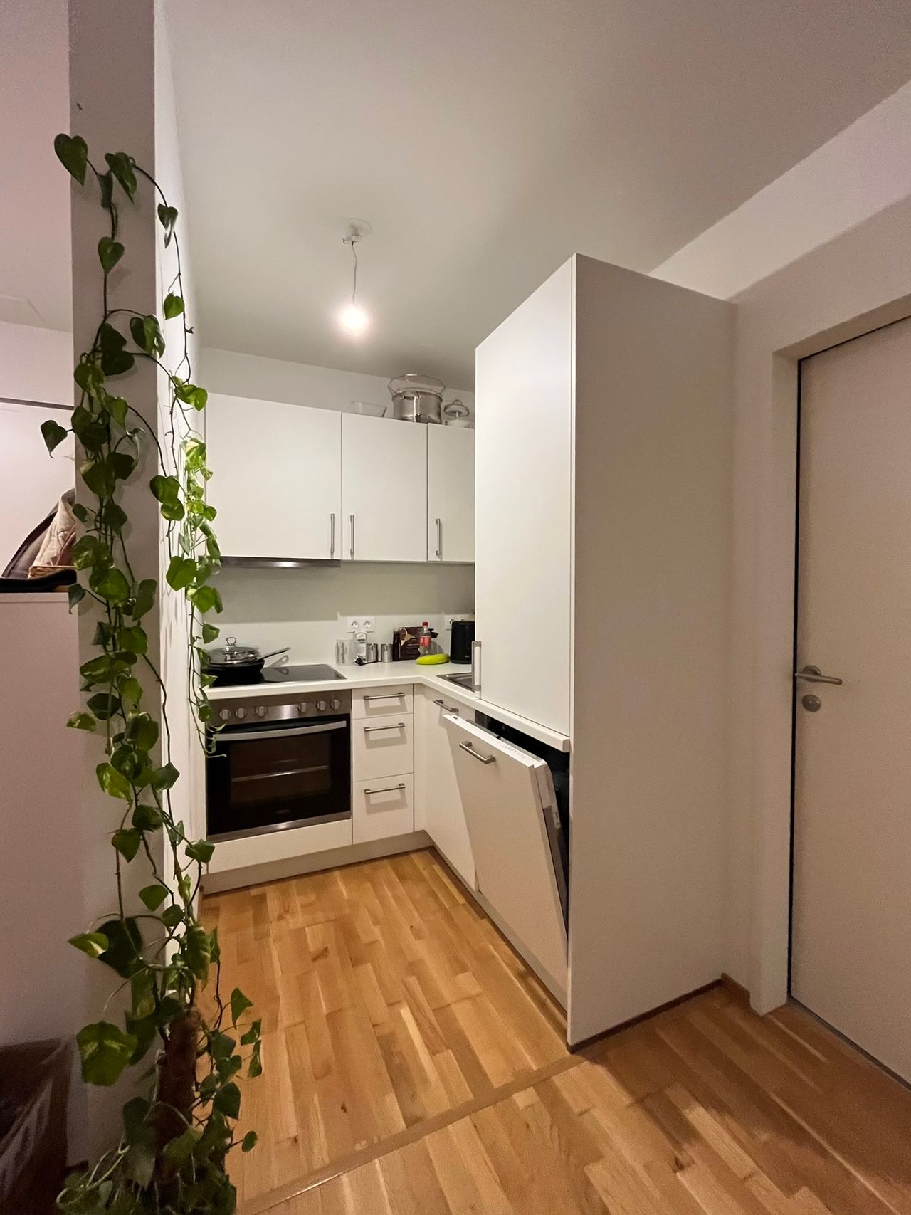 Bright 1.5-Room Apartment with Sunny Terrace – Fully Furnished