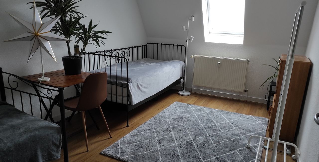 Spacious and perfect apartment (Magdeburg)